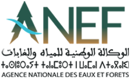 Logo Partner